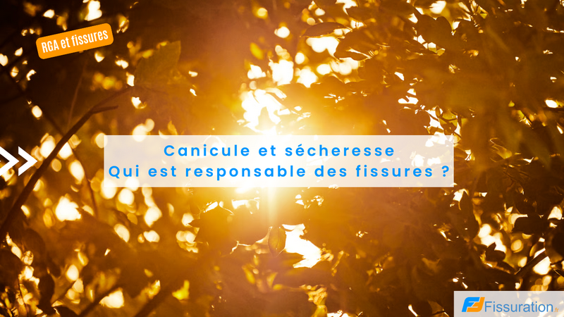 Canicule et secheresse : qu'est ce qui provoque vraiment des fissures sur votre maison ?
