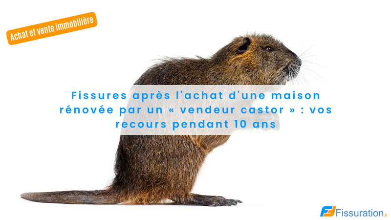 fissures-maison-renovee-vendeur-castor