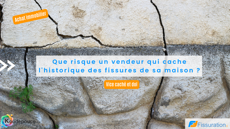 vendeur-maison-fissures-declaration-sinistre-secheresse