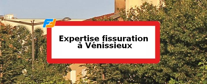 Expertise fissures Vénissieux