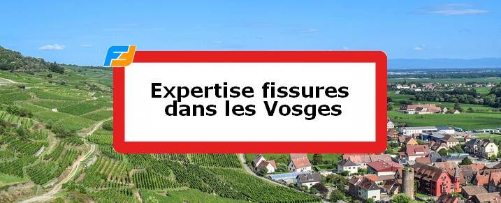 Expertise fissures Vosges