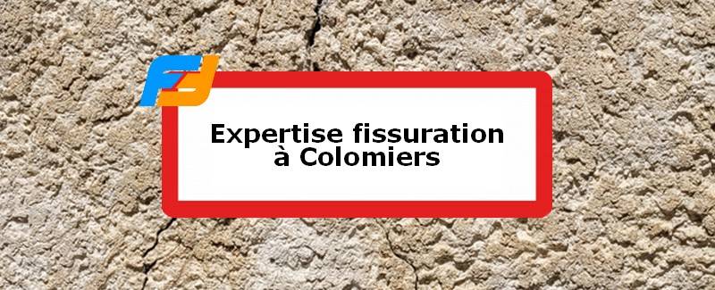 Expertise fissures Colomiers