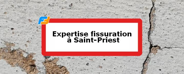 Expertise fissures Saint-Priest