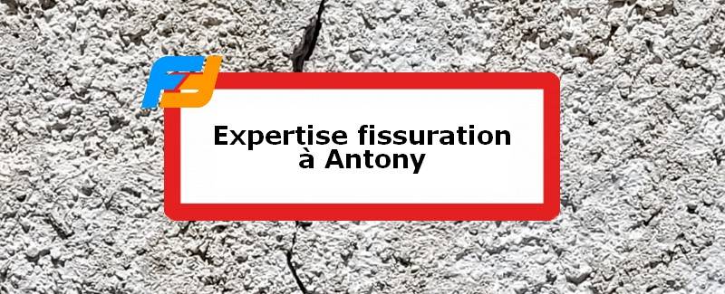 Expertise fissures Antony