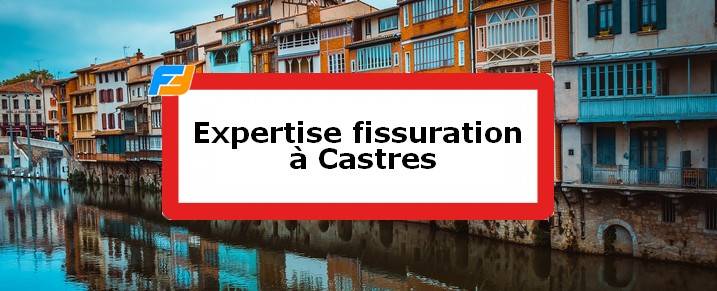 Expertise fissures Castres