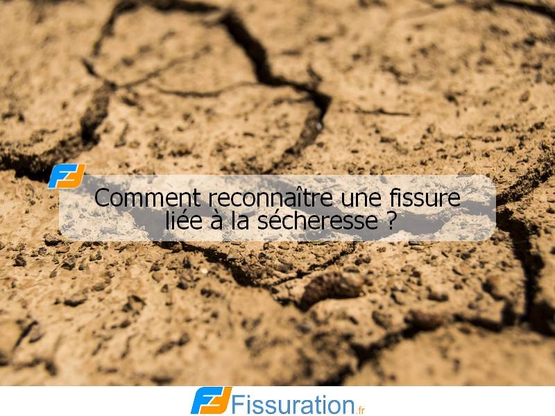 Comment reconnaître une fissure liée à la sécheresse ?