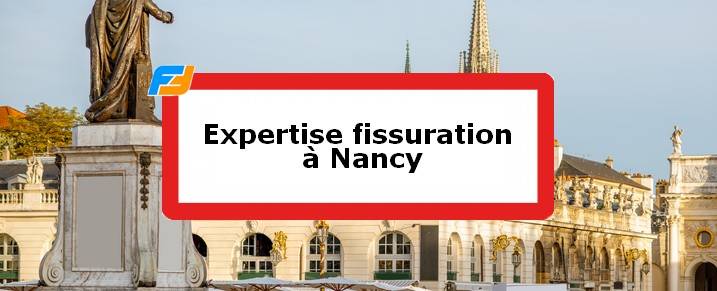 Expertise fissures Nancy