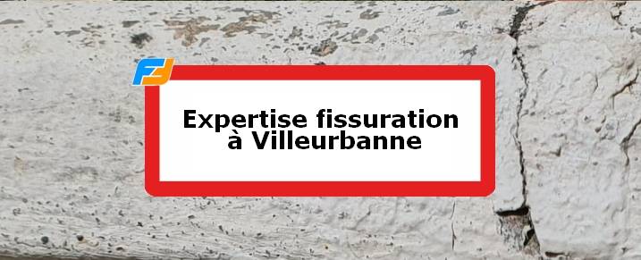 Expertise fissures Villeurbanne