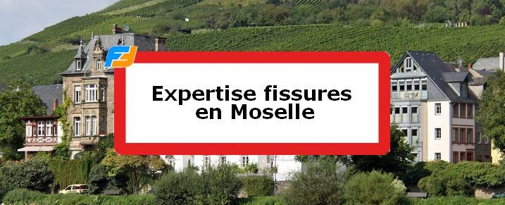 Expertise fissures Moselle