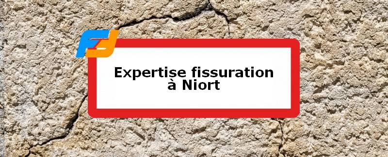 Expertise fissures Niort